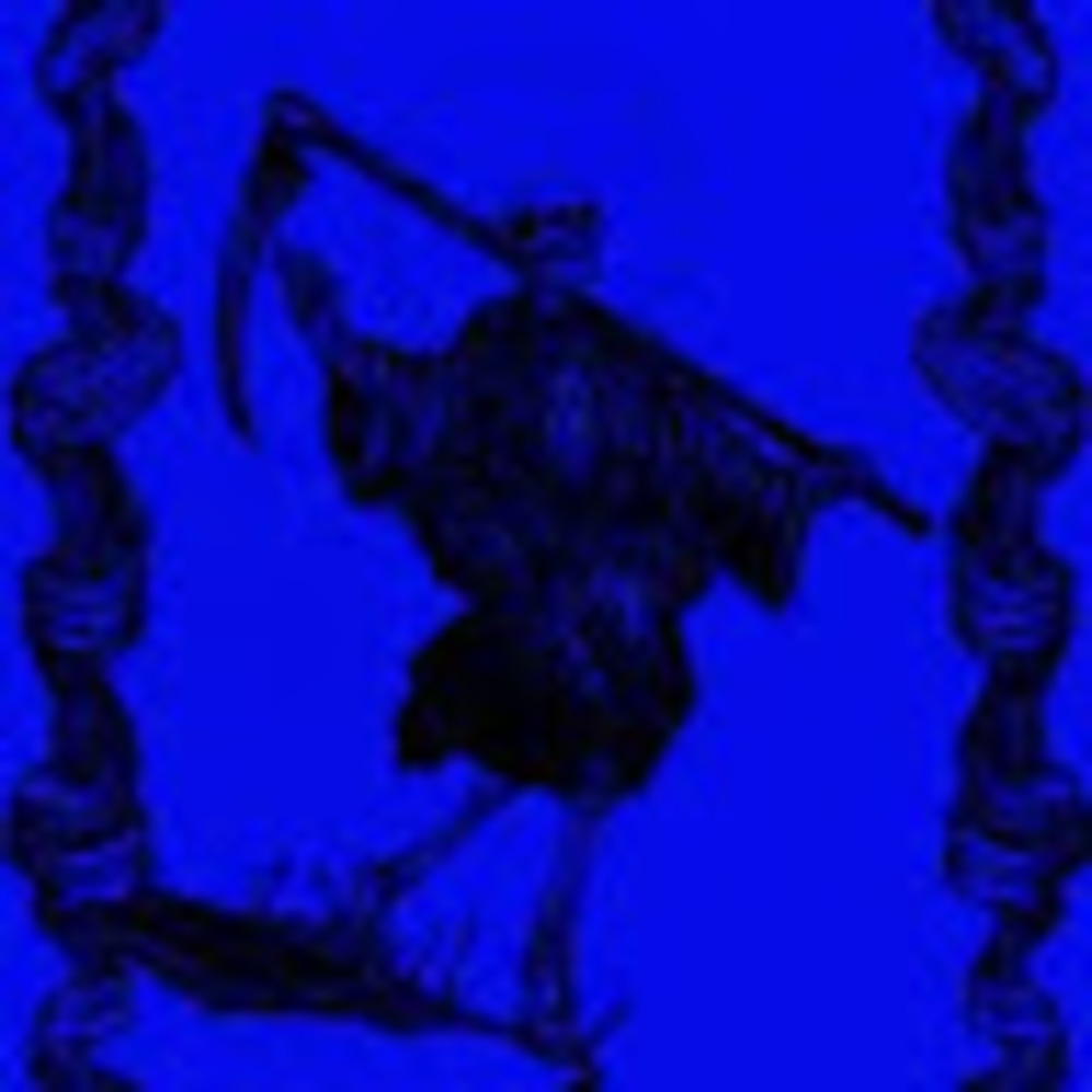 Meet your Posher, Lily